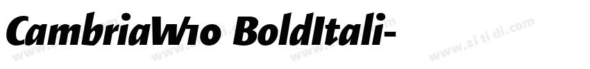 CambriaW10 BoldItali字体转换